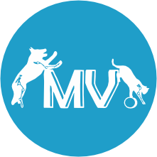 branding logo